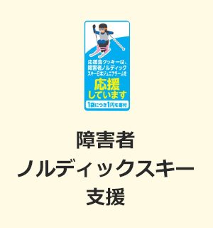 障害者ノルディックスキー支援