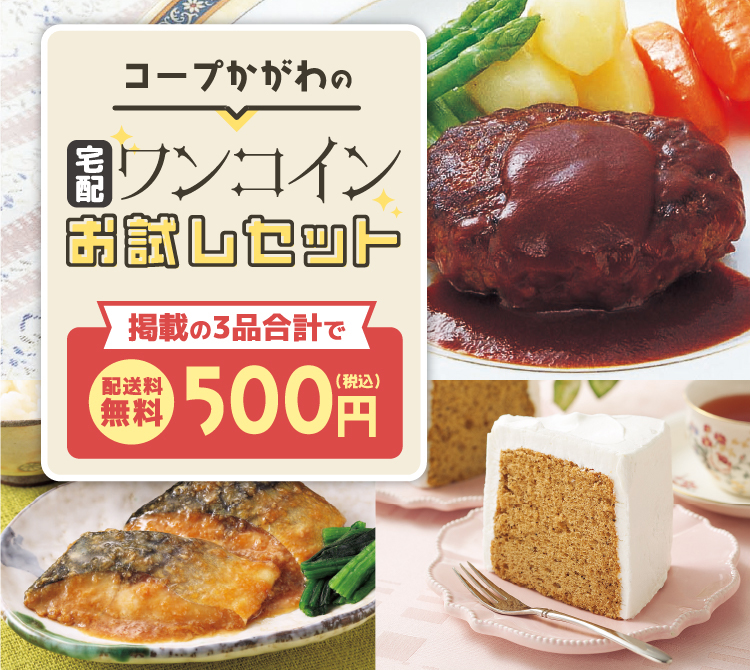 コープかがわの宅配ワンコインお試しセット