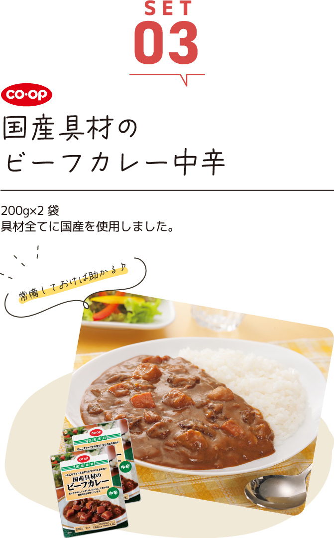 SET03 国産具材のビーフカレー中辛