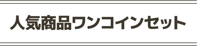 人気商品ワンコインセット