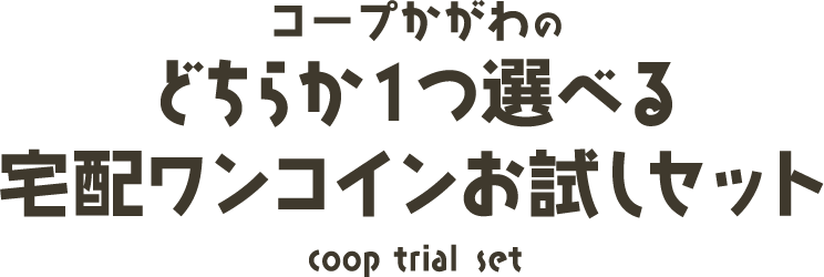 コープかがわのどちらか１つ選べる宅配ワンコインお試しセット(coop trial set)